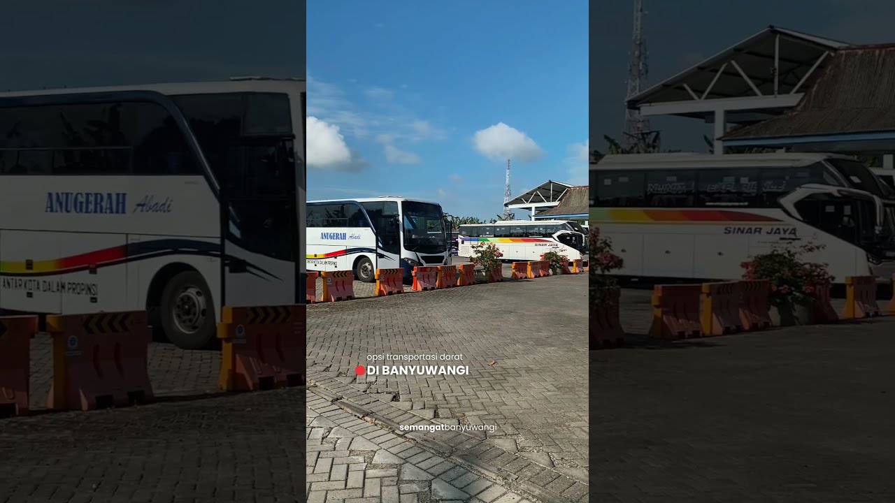 Terminal Brawijaya #fyp #subscribe #beritabanyuwangi #semangatbanyuwangi #shortvideo #shorts