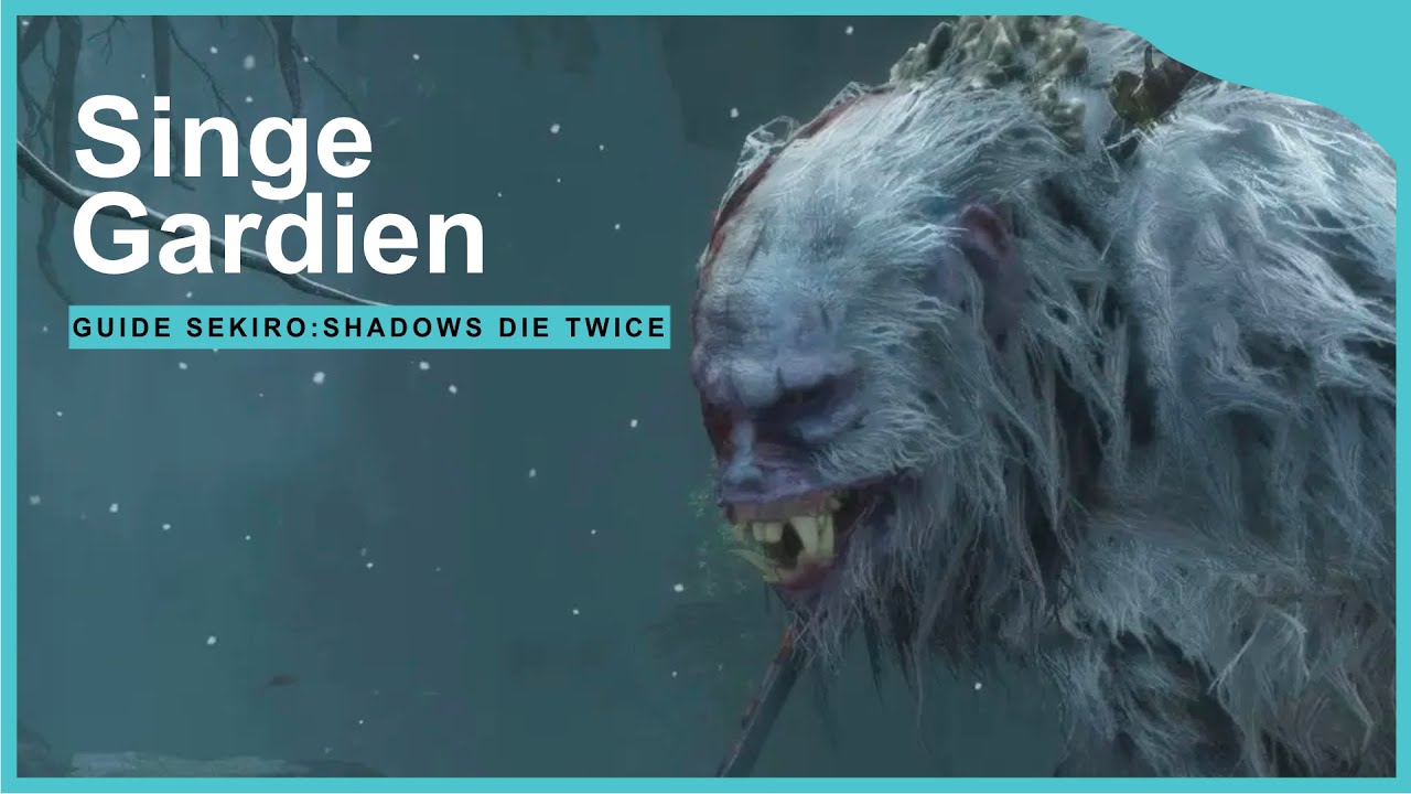 TUTO - GUIDE SEKIRO BATTRE LE SINGE GARDIEN