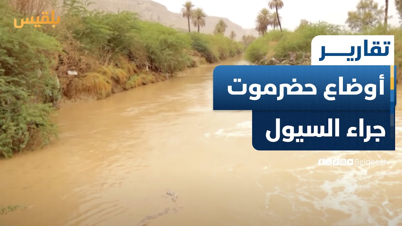 كاميرا بلقيس ترصد الأوضاع في وادي حضرموت مع تدفق سيول الأمطار الغزيرة | تقرير: حداد مسيعد