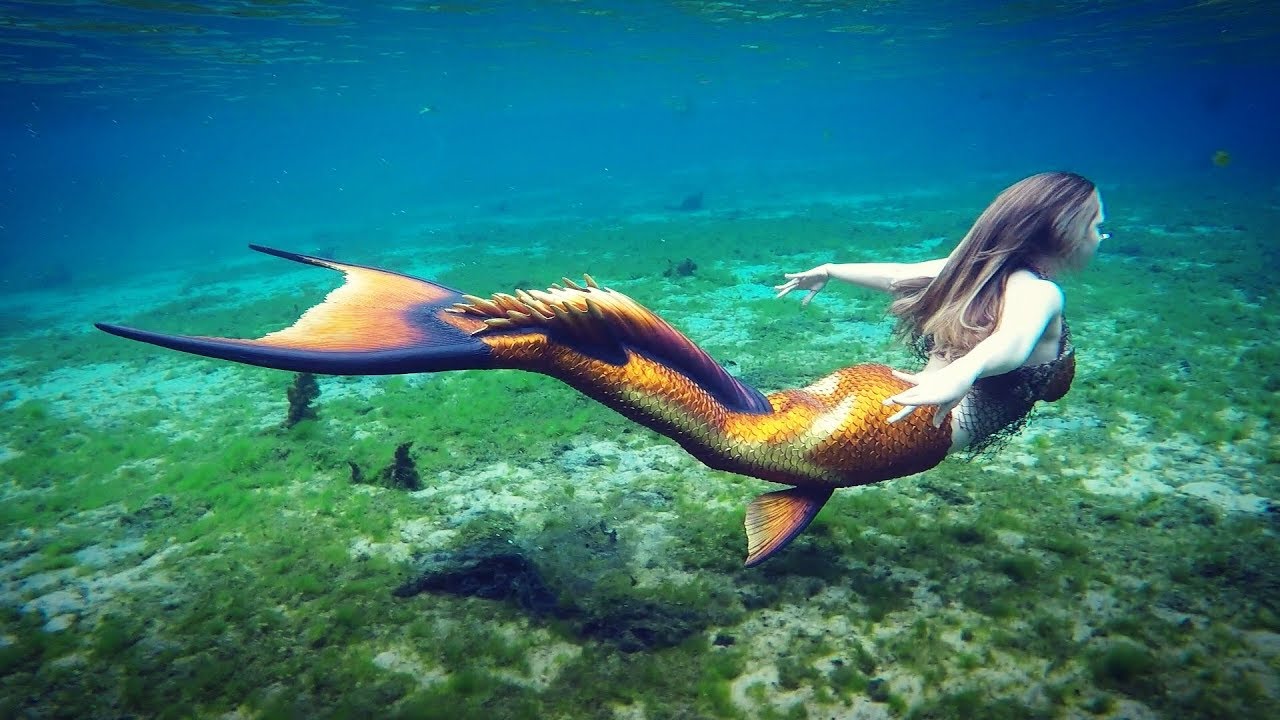 Splash Mermaid Swimming In Crystal Clear Water