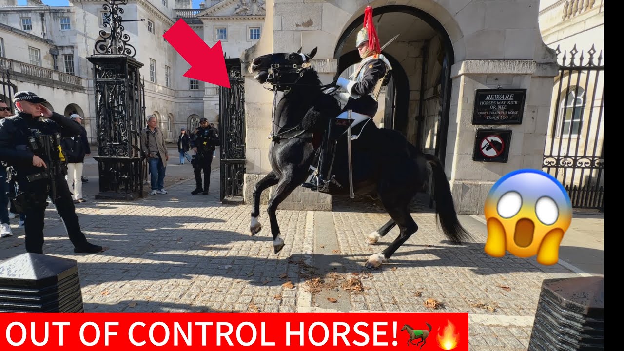 Real Danger at Horseguards Parade &ndash; Horse Goes Wild in Front of Tourists!