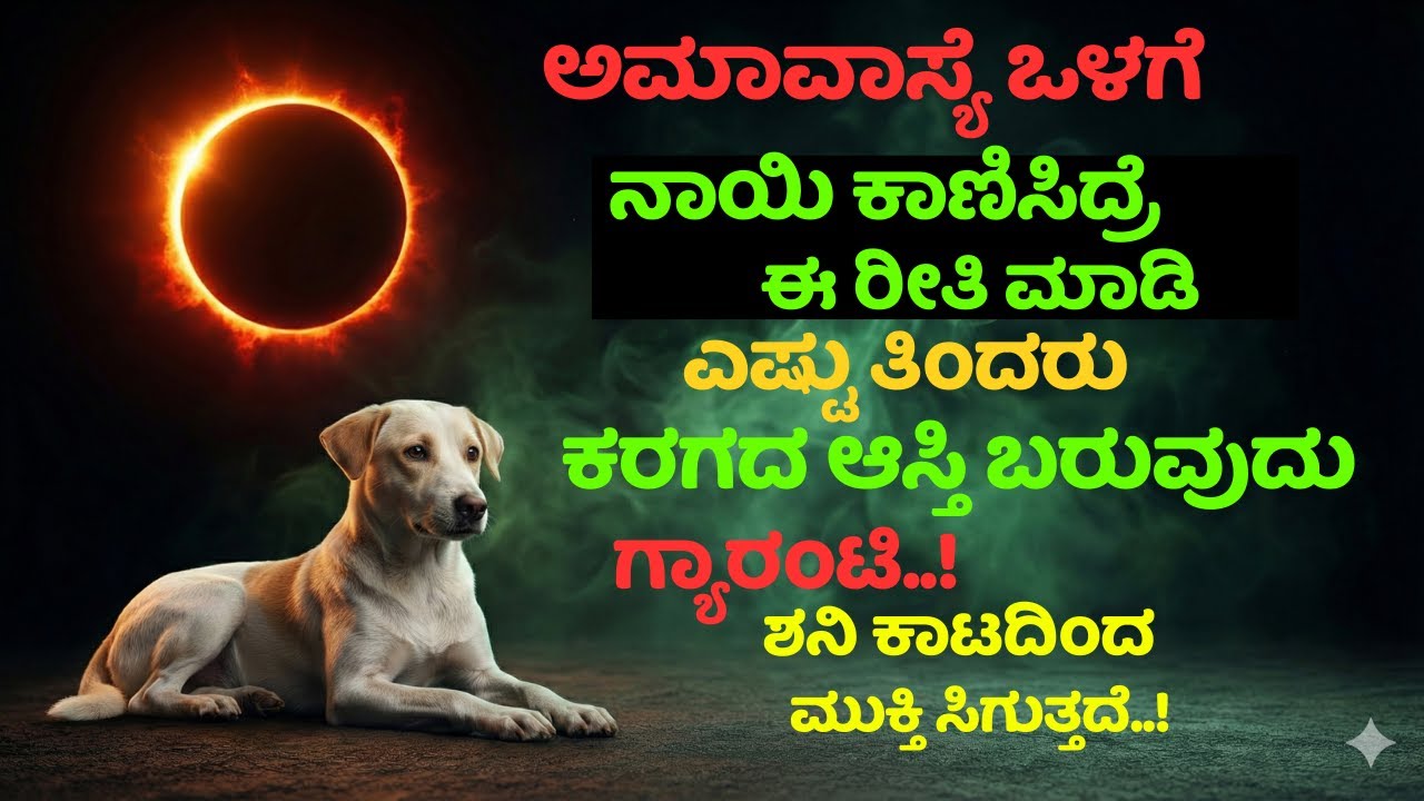 ಅಮಾವಾಸ್ಯೆ ದಿನ ನಾಯಿ ಕಂಡರೆ ಇದನ್ನು ತಪ್ಪದೇ ಮಾಡಿ! ಲಕ್ಷ್ಮೀದೇವಿ ಮನೆ ಬಾಗಿಲಿಗೆ ಬರುತ್ತಾಳೆ ಅಂತೆ!