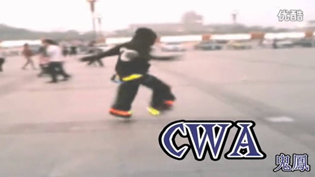 Ghost Phoenix BA  jiner （Chinese Shuffle）