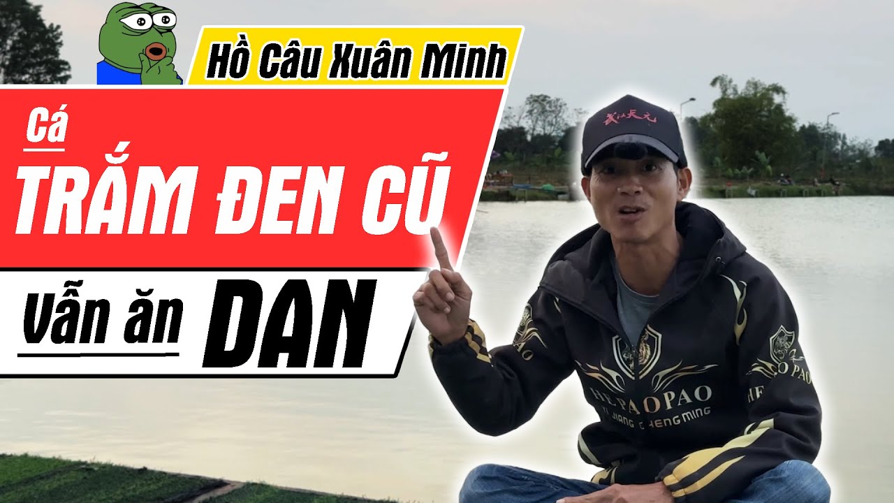 131. CÂU CÁ MÙA ĐÔNG : Trắm Đen cũ mà vẫn ăn hạt DAN ???