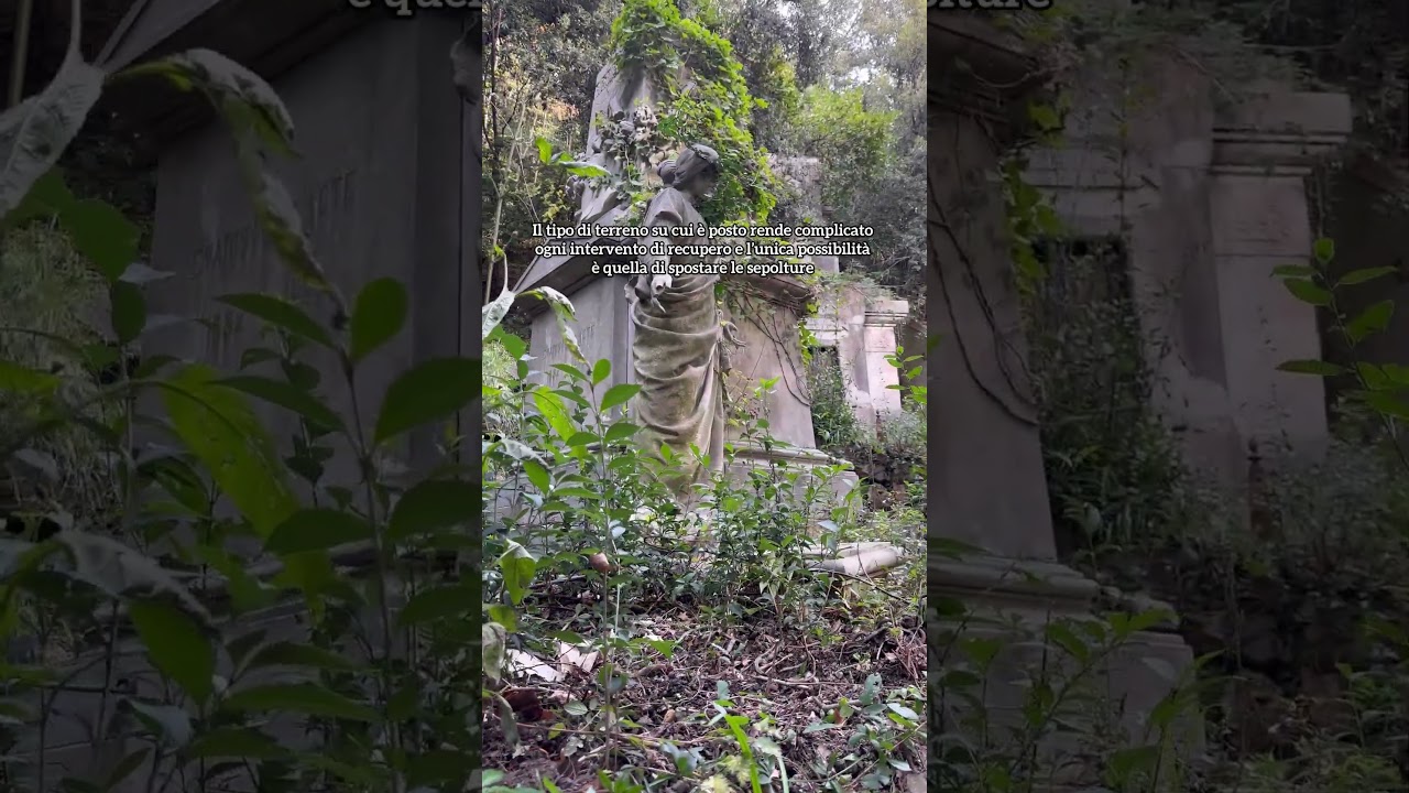 NON È POSSIBILE LASCIARE UN CIMITERO IN QUESTE CONDIZIONI!