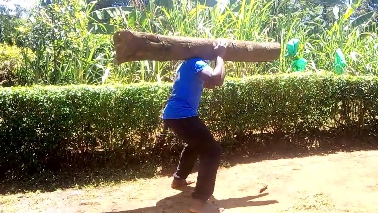 Log Exercises