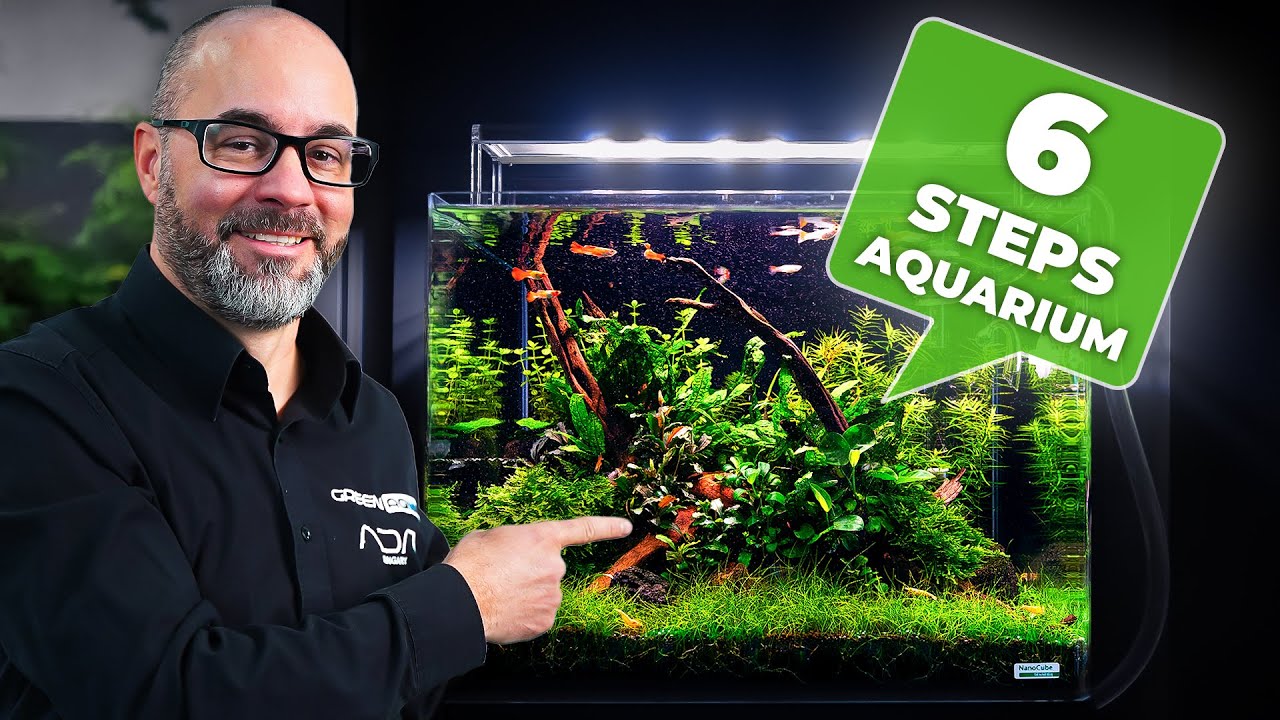 6 EASY Steps for Creating a Stunning Nature-Style Aquarium