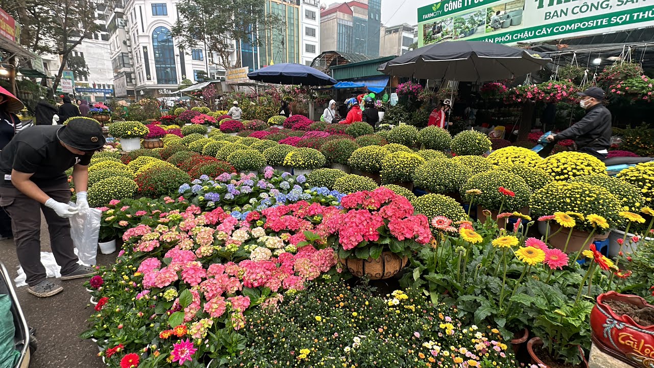 CHỢ TẾT VẠN PHÚC, ĐẸP NHẤT HÀ NỘI - NGẬP TRÀN SẮC HOA XUÂN, THẤY GÌ CŨNG MUỐN MUA BẤT CHẤP MƯA TO