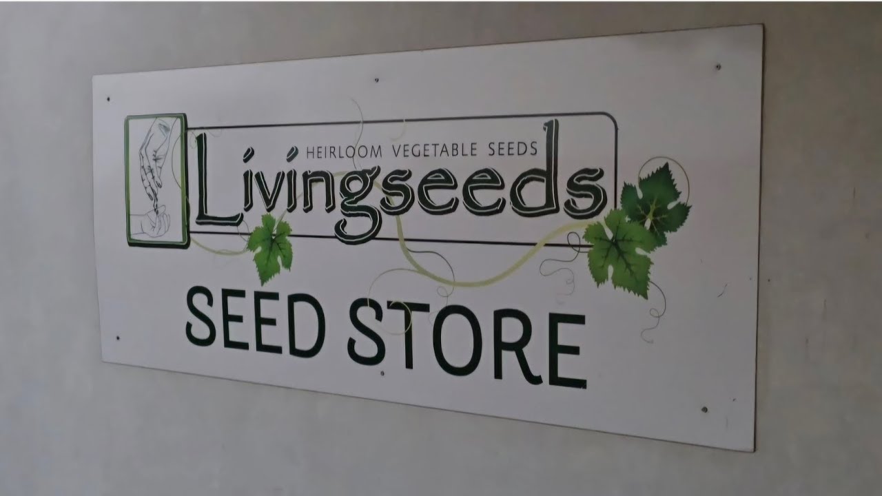 Discovering the Livingseeds Seed Store!