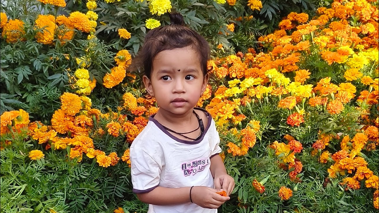 मुंबई फ्लावर शो 2026🌻🌸🥭🍍 part 2#youtbeshorts #cutebaby @ Priyanshi Gambhava 