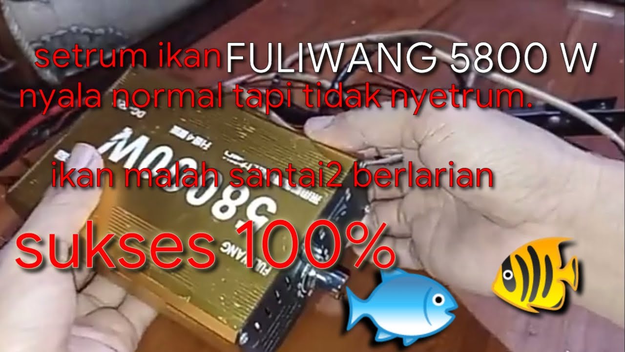 cara service setrum ikan fuliwang 5800w