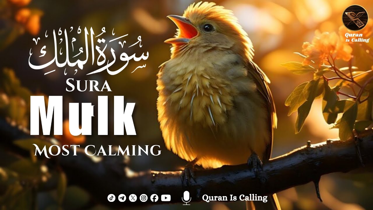 Surah Mulk Surat Mulk | سورة الملك | Quran is Calling | Soothing
