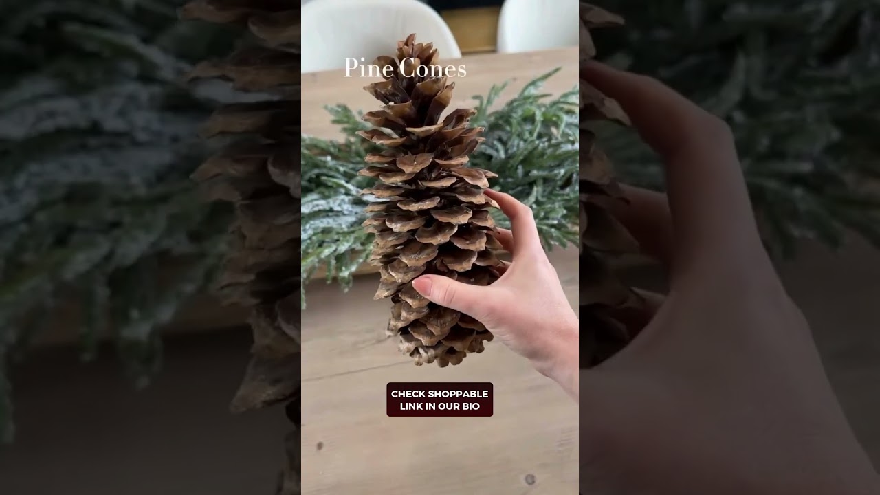 Amazon Christmas Decor Haul: Elegant & Festive Holiday Styling!
