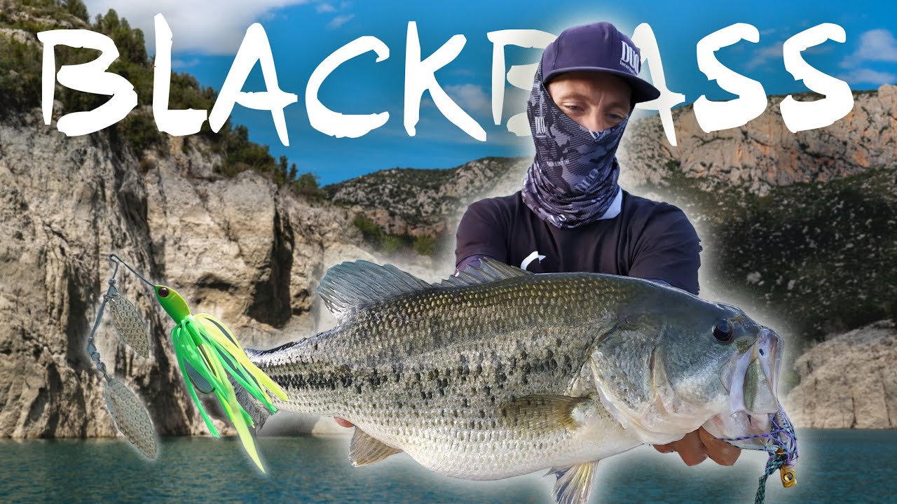 Black Bass con Spinnerbait desde Pato y Embarcación #5