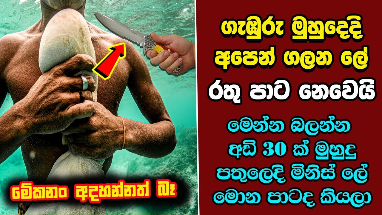 ඔබ මේවා දකින්නේ ජිවිතේ පළමු වතාවට EP:307