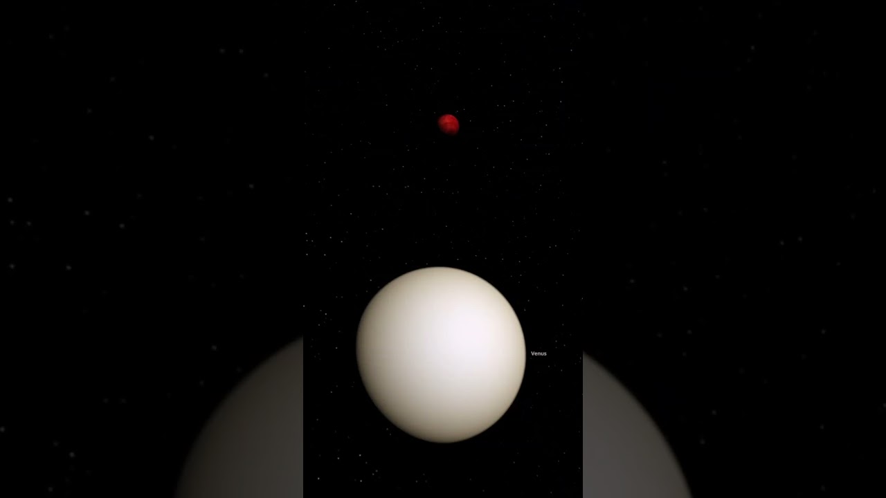 Sedna vs. Venus Collision