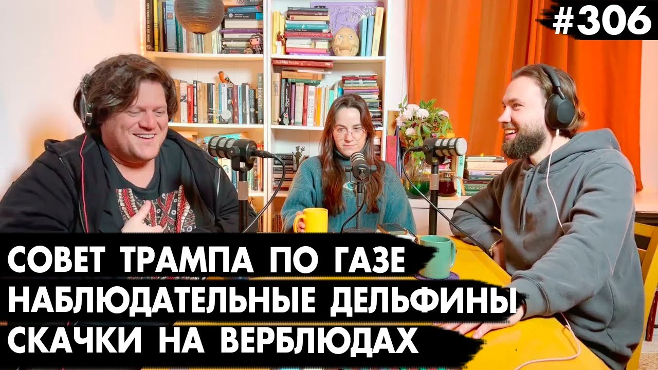 #306 Совет Трампа по Газе, Скачки на верблюдах, Наблюдательные дельфины - Че там у евреев?
