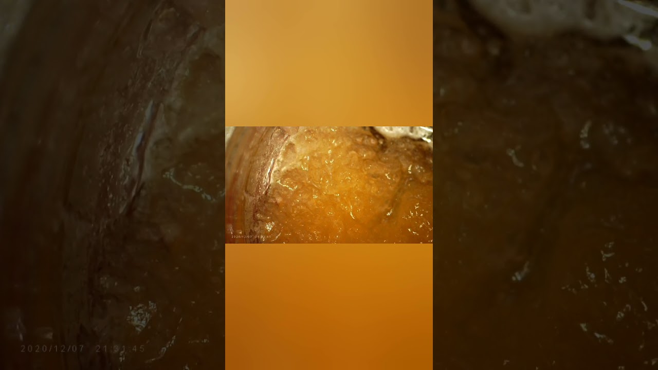 BEAR Labs(PURPLE PUNCH)LIVE RESIN HCE how to DAB