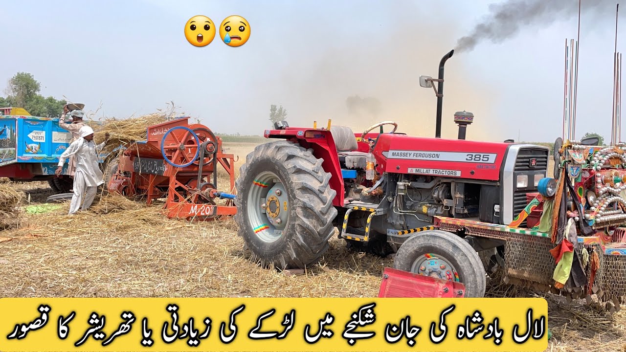 Laal Badshah Da Haal Veakh Lo 😭 | MF 385 On Wheat Thresher