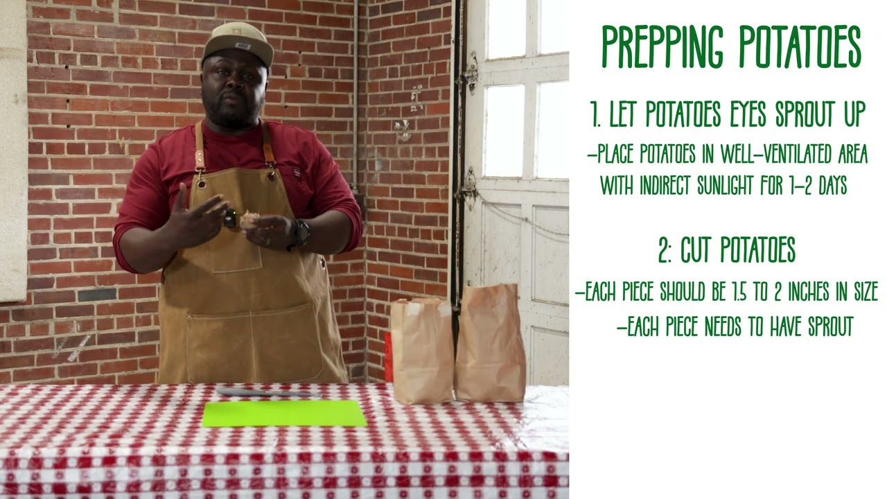Potato Planting Prep