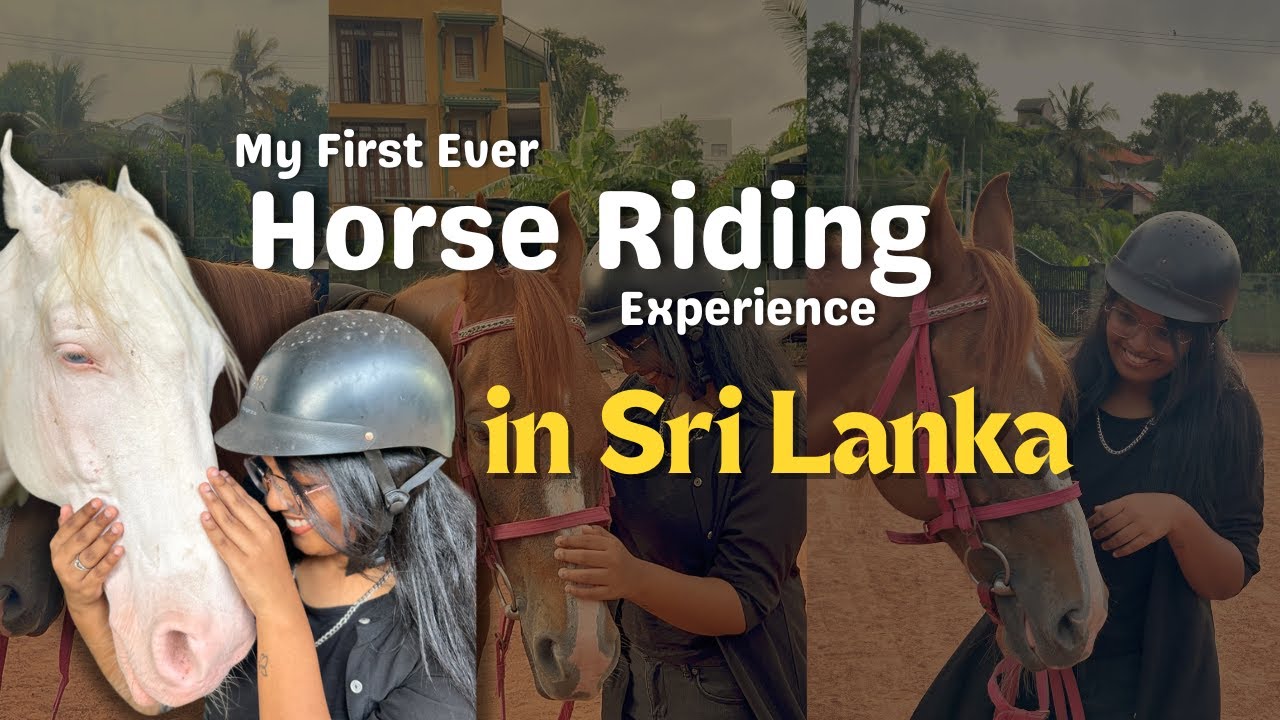 How are they so Affectionate? Premadasa Riding School Nugegoda - Colombo | Horse Riding | Sri Lanka