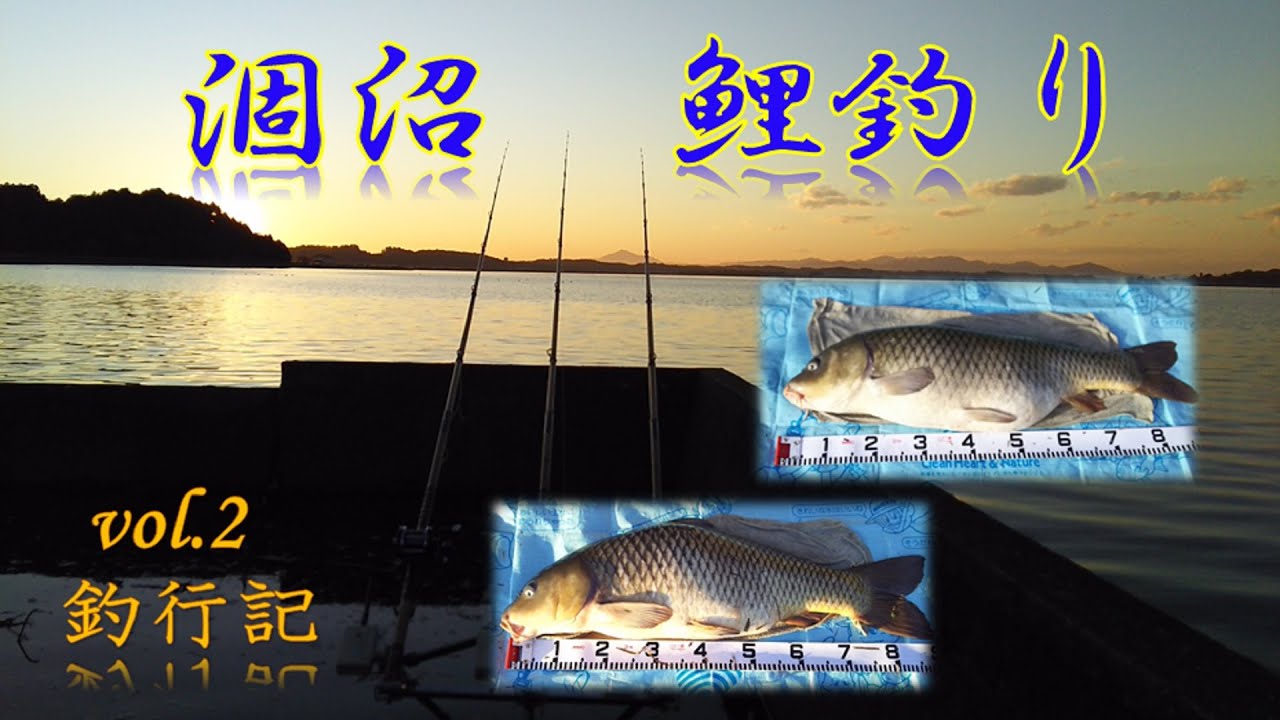 涸沼で鯉釣り（釣行記）vol.2