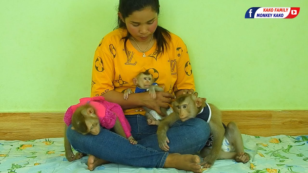 Taking Nap Daytime | Mom Take Care And Grooming Kako Luna With Tiny Olly