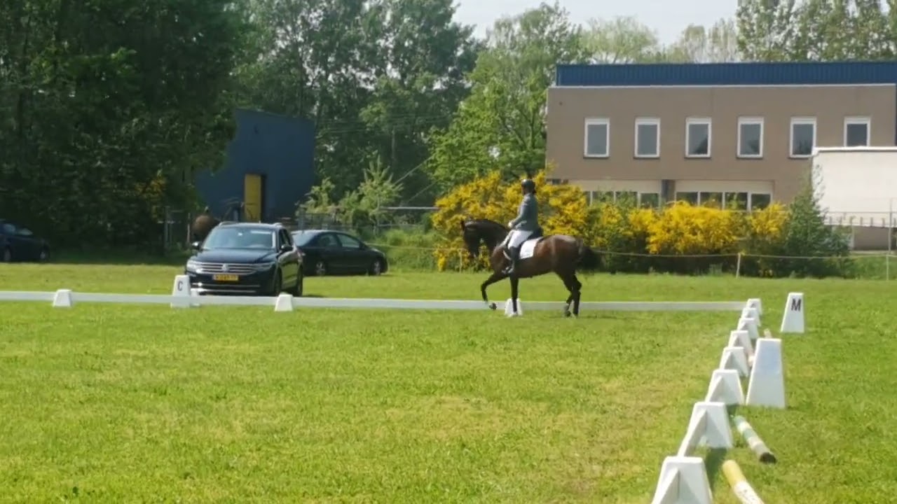 14-05-2023 Maarheeze selectie, klasse M1 proef 31 KNHS, 1E PLAATS Jury C 196,5 punt & H 199,5 punt