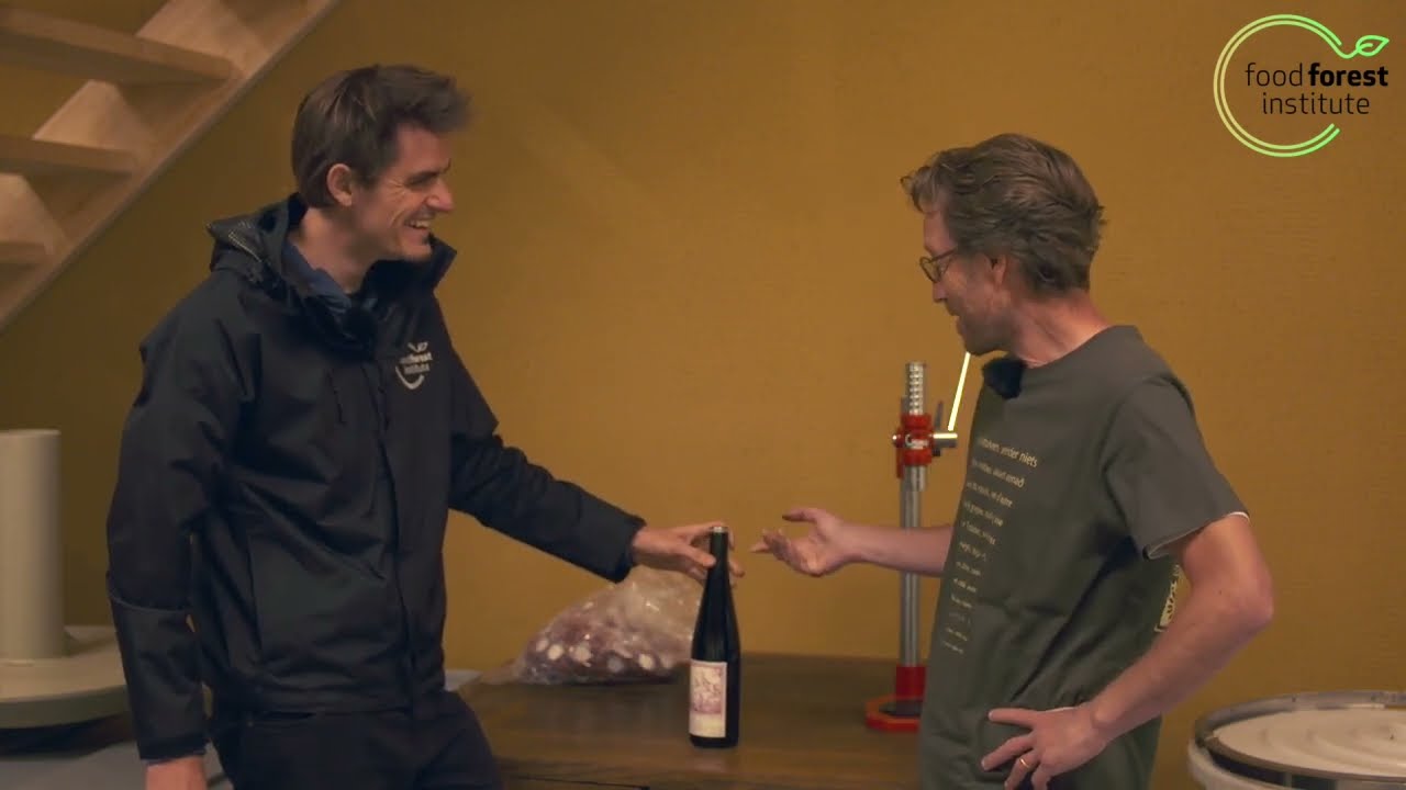 🌳 Voedselboswijn: gebruik een kroonkurk in plaats van kurk 🍇Wijngaard Lijsternest | Louis De Jaeger