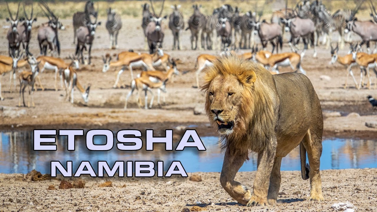 Namibie - NP Etosha od západu na východ  | J&B Road trip