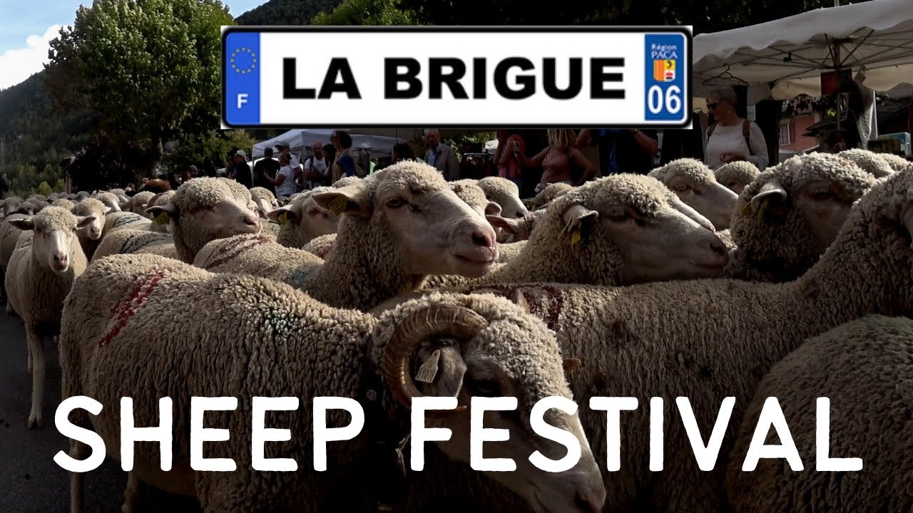 La Brigue Sheep Festival 2023 🐑 | La Fête De La Brebis Brigasque 2023 | La Brigue