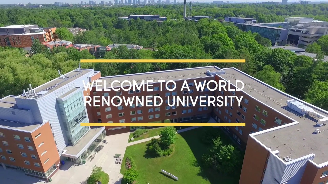 Living at U of T Mississauga