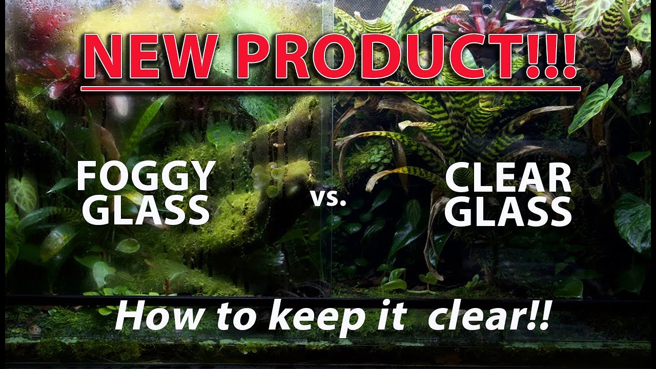 (edit :THIS FILM HAS SINCE FAILED )HOW TO KEEP YOUR POISON DART FROG VIVARIUM GLASS CLEAR FOREVER!!!