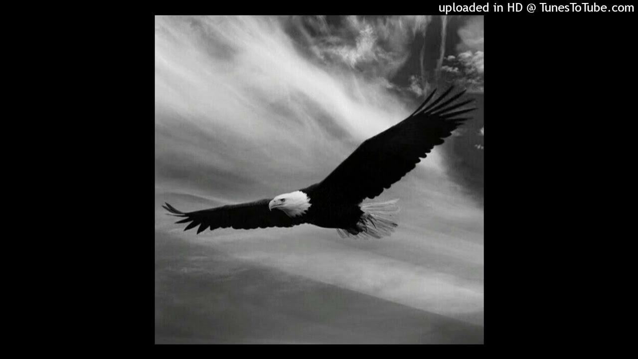 [FREE] FRIENDLY THUG 52 NGG X ALBLAK 52 Type Beat - EAGLE