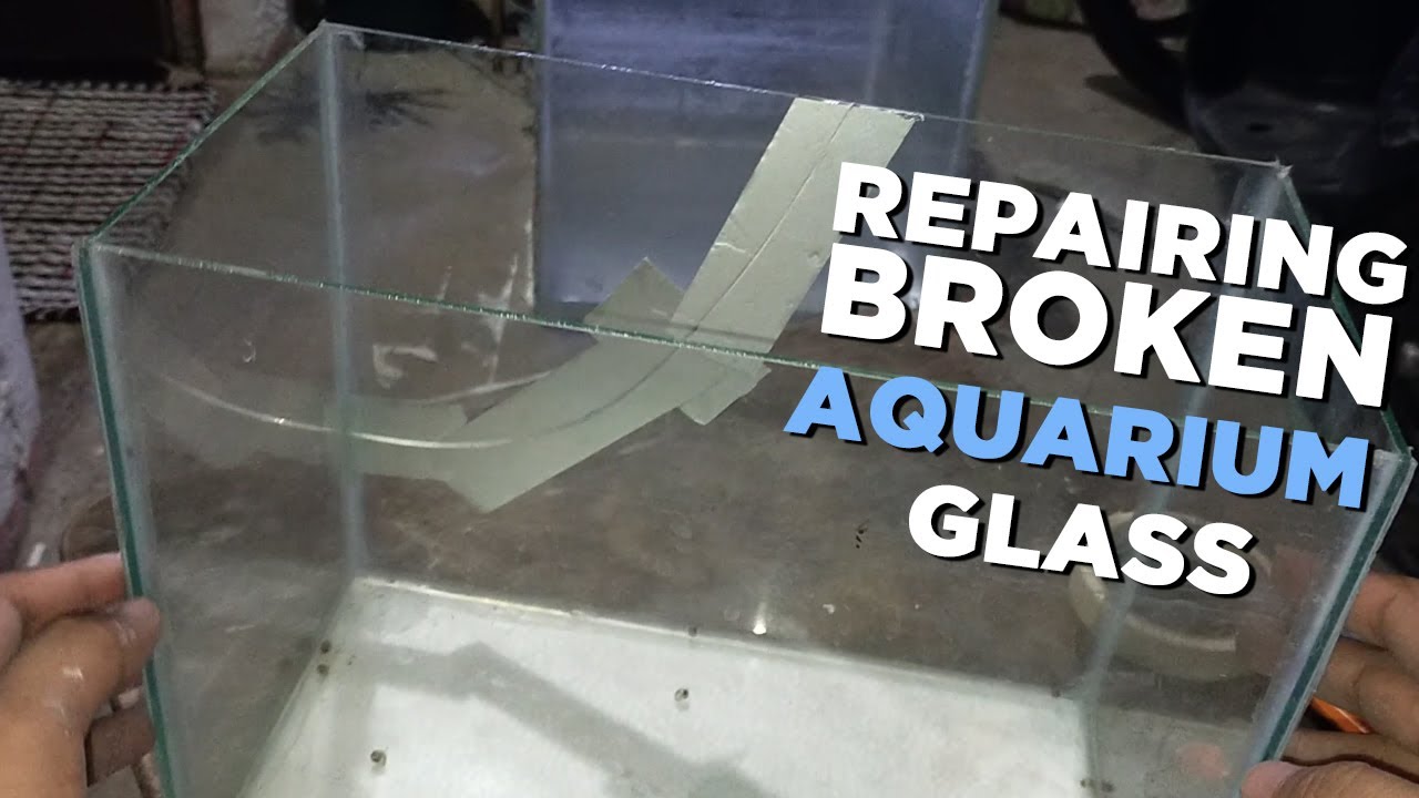 REPAIRING BROKEN AQUARIUM GLASS (TAGALOG)