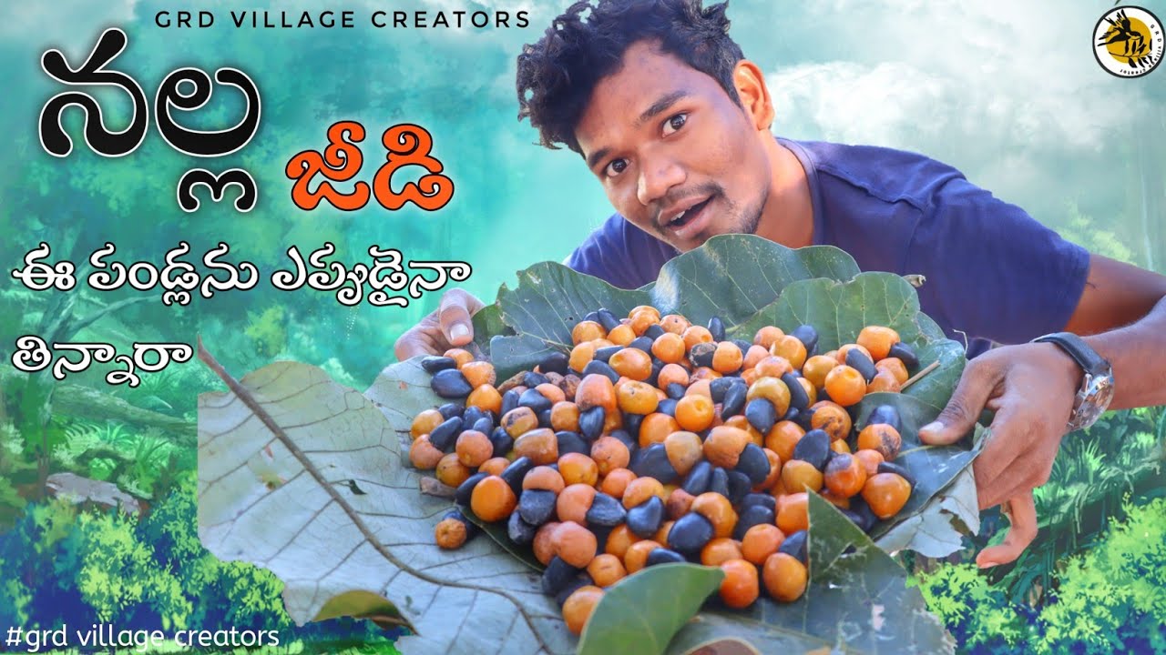 నల్ల జీడి పళ్ళు//bhilawa black making in uses in Telugu//grd village creators