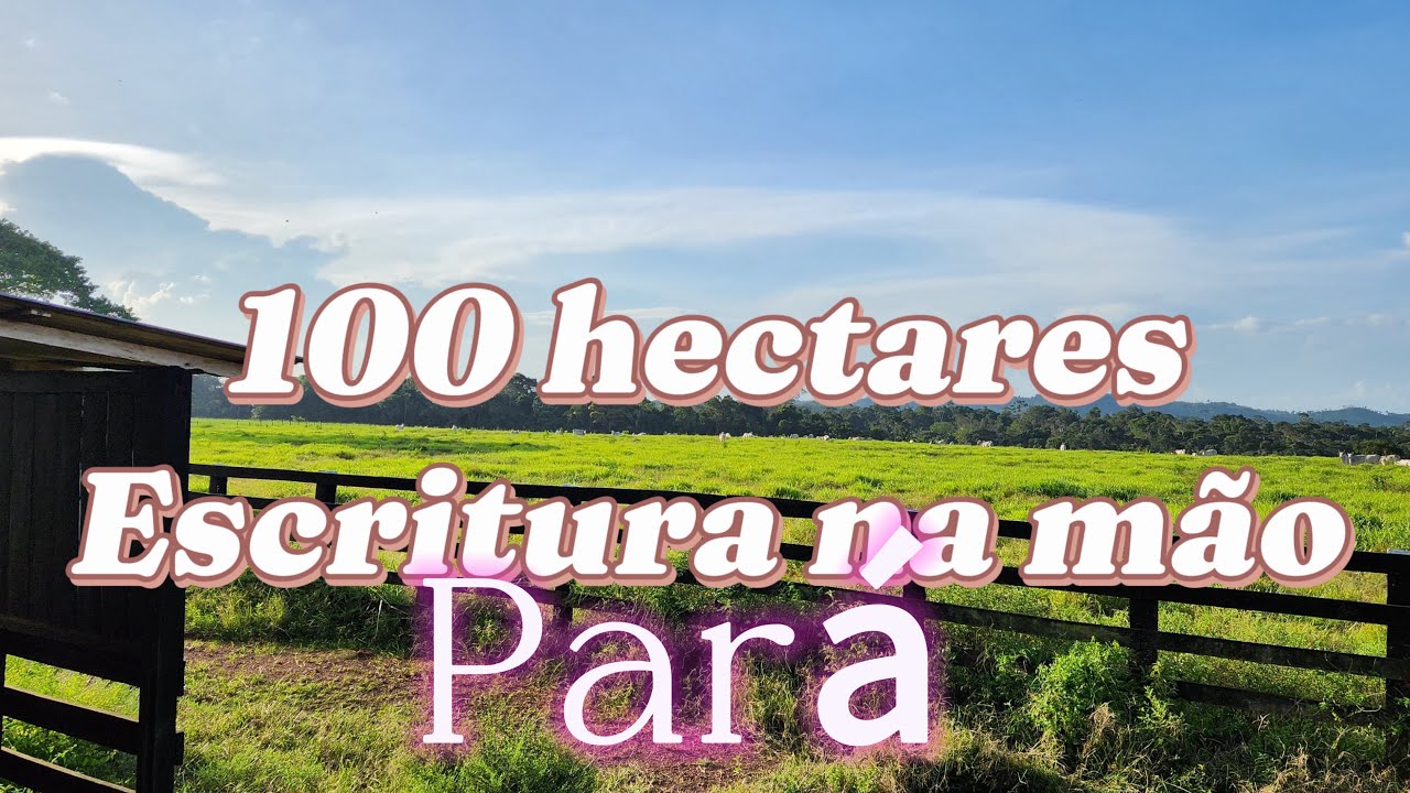 100 hectares com escritura na mão 🤚 no estado do Pará na região de Ruropolis sentido Itaituba.