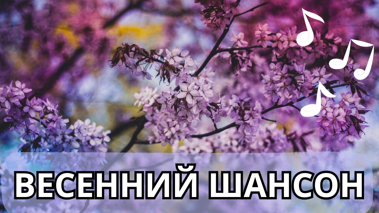 Песни от которых вы будете светиться счастьем, весенний шансон - заряд позитива на весь день
