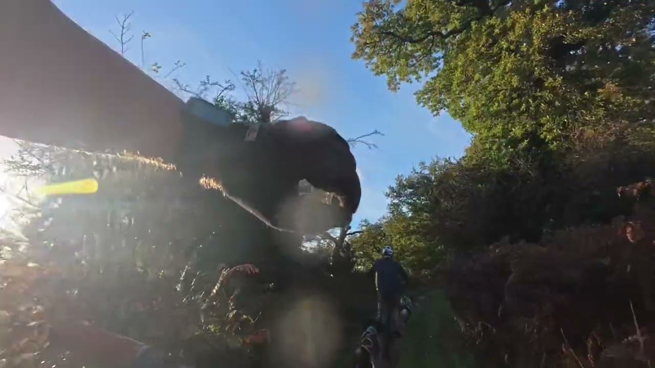 Sprocket & Pete 5.5kish !! 