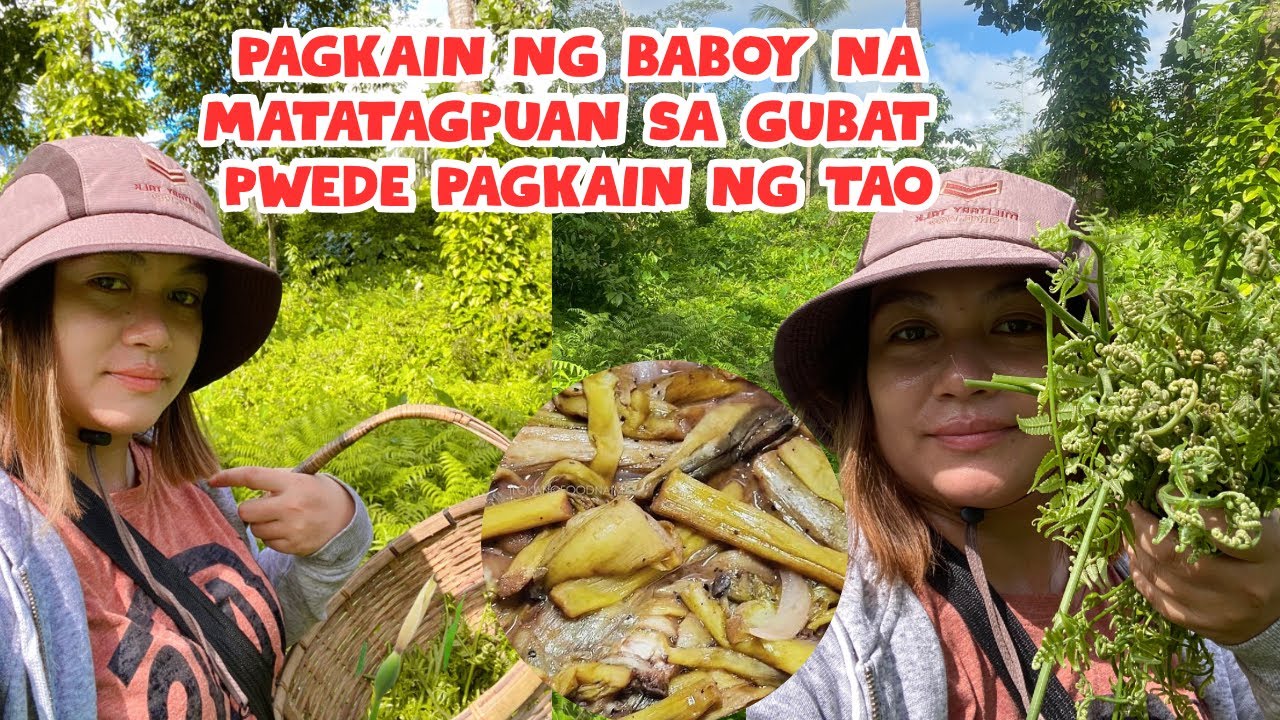 LIBRENG PAGKAIN SA GITNA NG GUBAT, MAKATIPID NA AT MASUSTANSYA PA