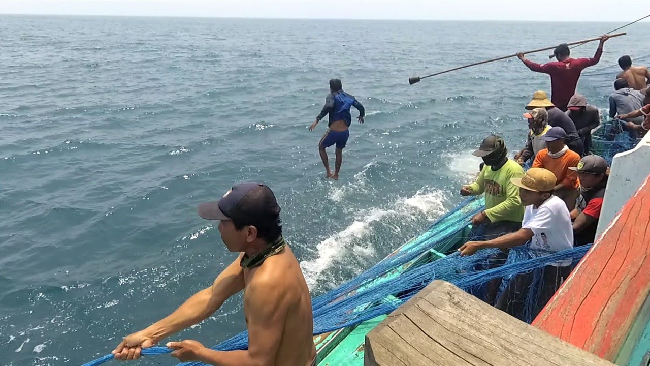 full teriakan abk saat menjaring ikan tongkol ll Nelayan puger jember