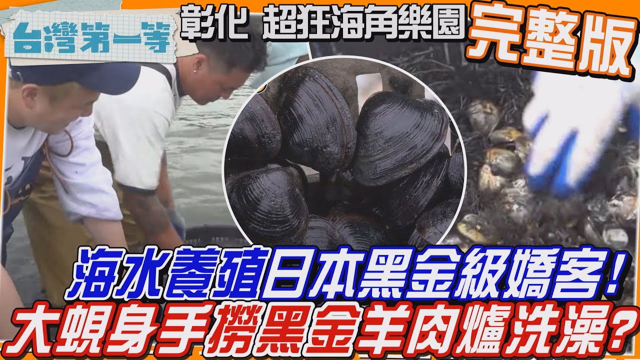 [全新] 彰化【日本黑金級嬌客!大