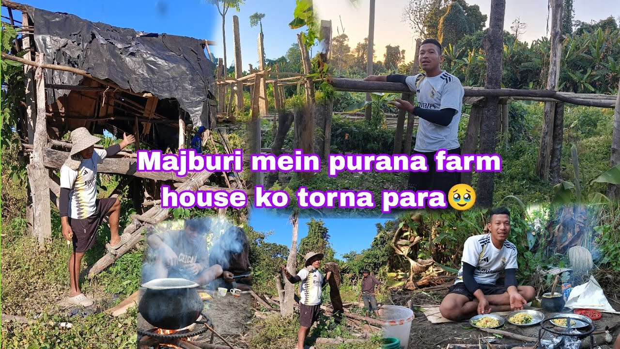 Majburi mein purana farm house ko torna para 🥹🥹 || @sodemsokri1537 