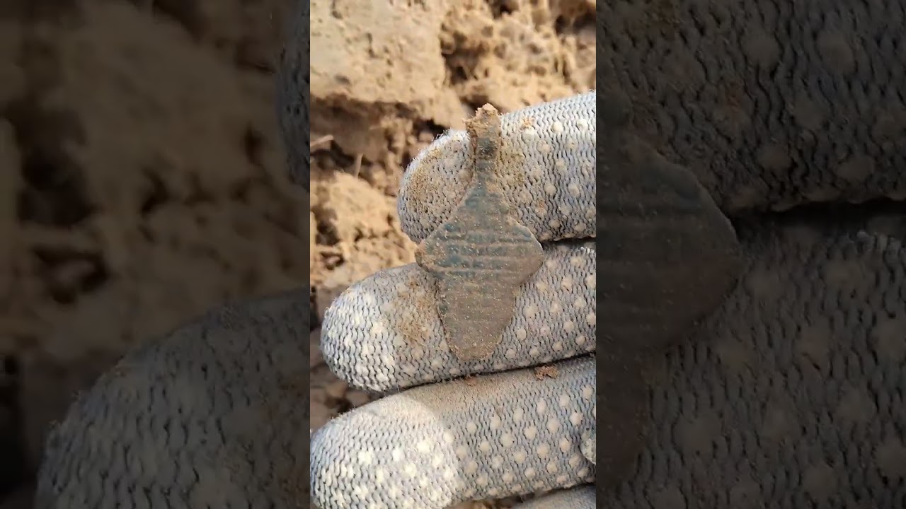 Нарезка с сегодняшнего копа #5  #металопоиск #metaldetecting #коп #metaldetector #atpro