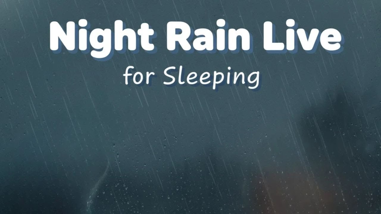 Night Rain Live for Sleeping