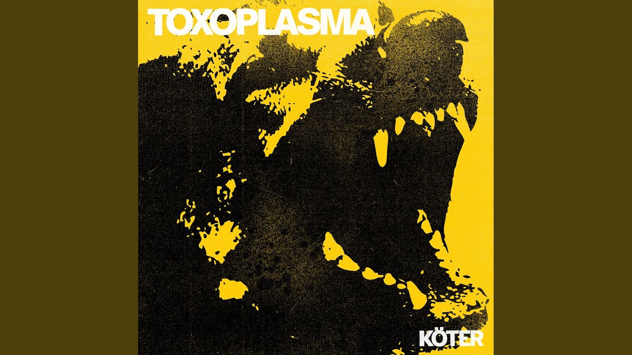 Köter
