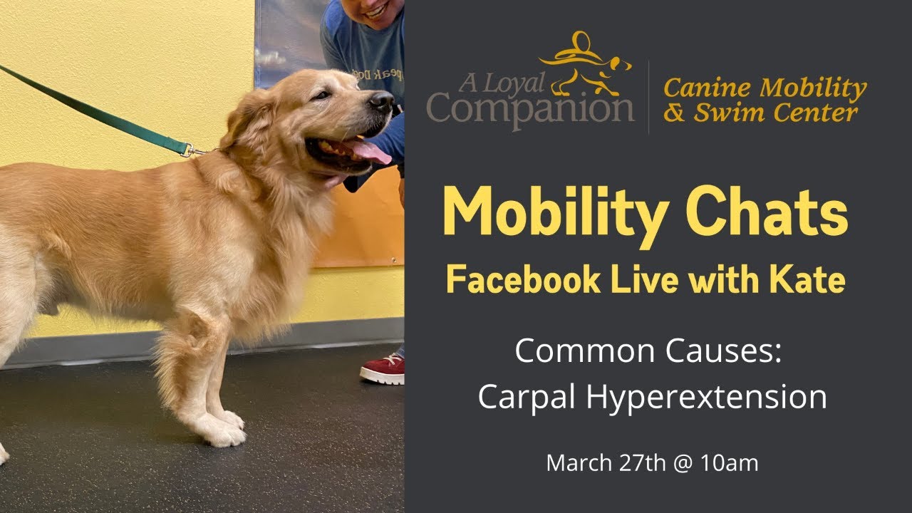 Mobility Chats with Kate: Carpal Hyperextension