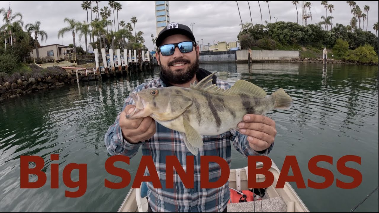 Big Fish at Long Beach