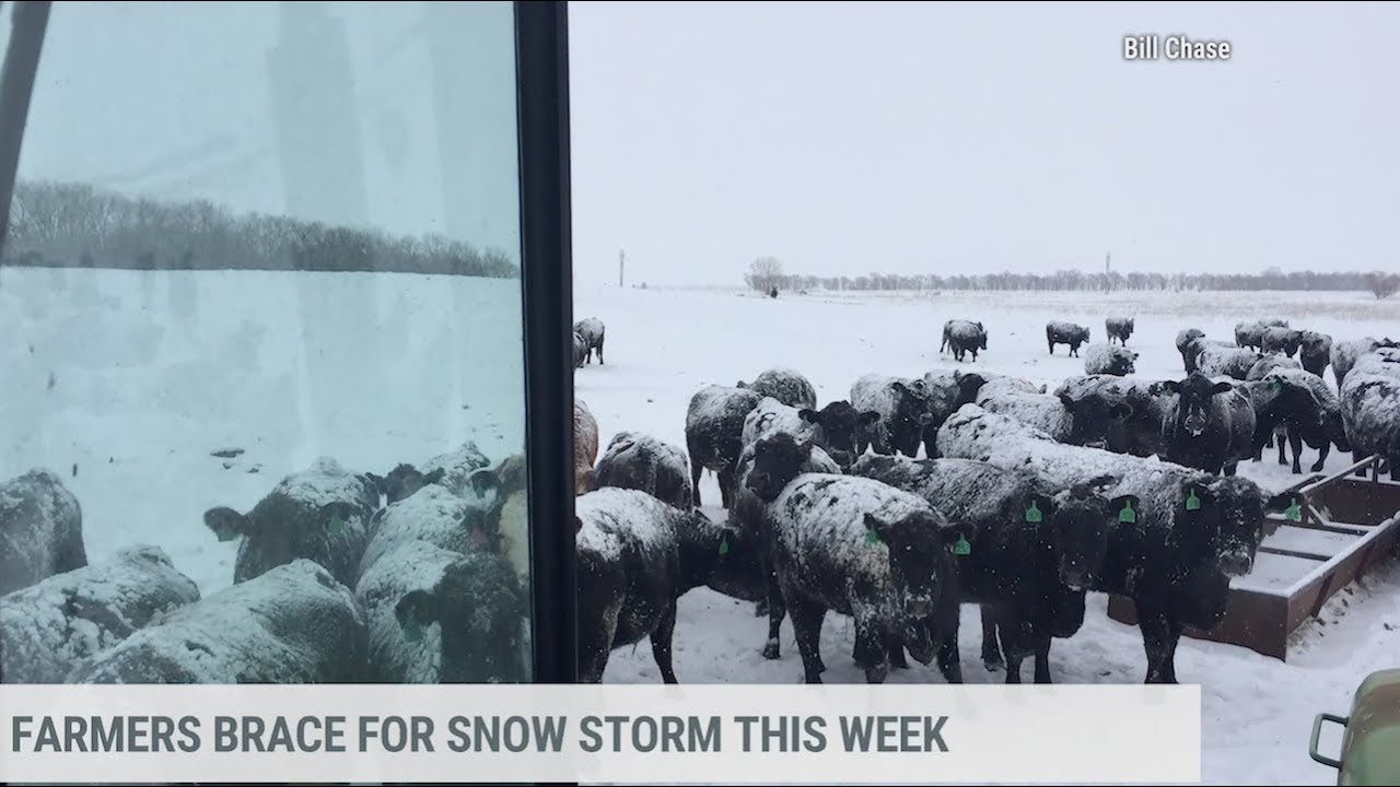 Why Early Winter Storms Are Disastrous for Farmers