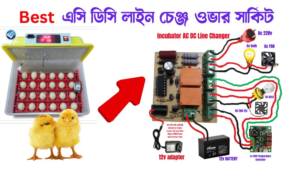 Best AC DC Line Changer । ইনকিবেটরের জন্য এসি ডিসি লাইন চেঞ্জার। অল্প খরচে AC to DC Line changer